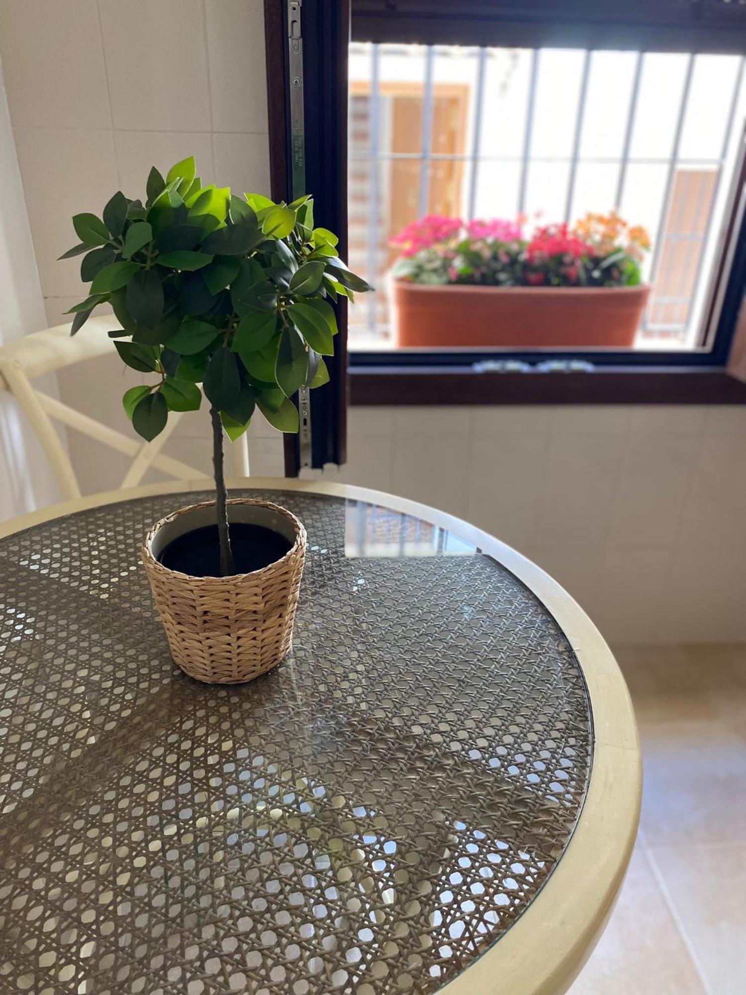 El Endrinal Apartment Грасалема Екстериор снимка