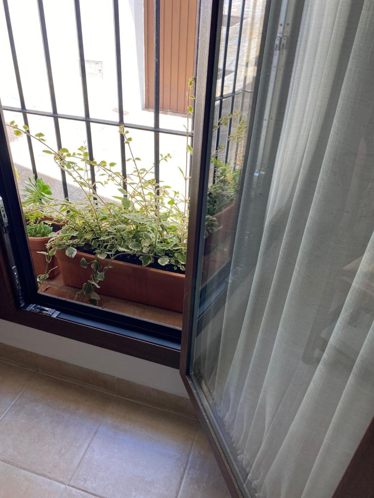 El Endrinal Apartment Грасалема Екстериор снимка